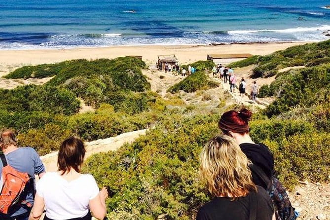 Cruise and 4X4 Safari Tour at Akamas Peninsula from Paphos - Final Thoughts on Value and Experience