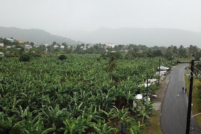 Cruise Excursions in St. Lucia - Pricing and Flexibility