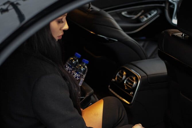 Cruise port VIP Transfer: Cruise port to Stockholm city center 1-6 Passangers - Who Will Love This Transfer?