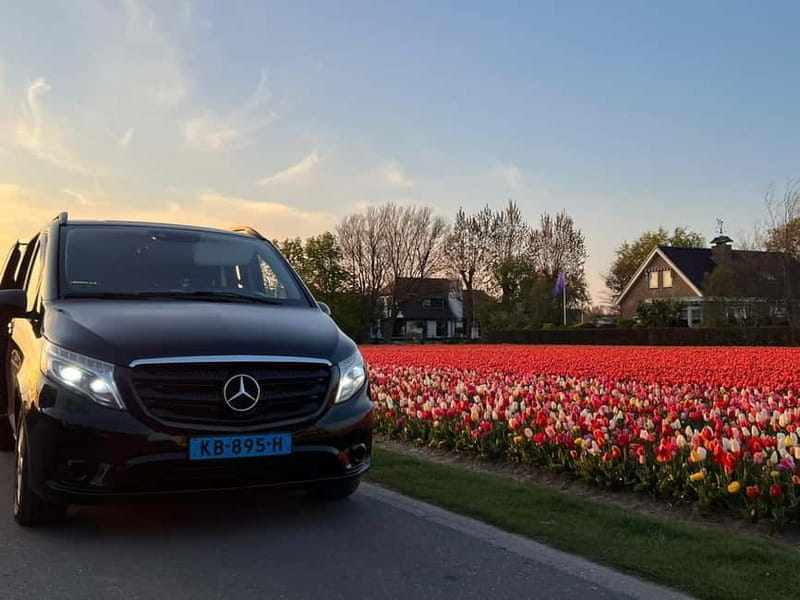 Cruise Terminal Rotterdam: Private Tour by Luxury Van - Key Points / Takeaways