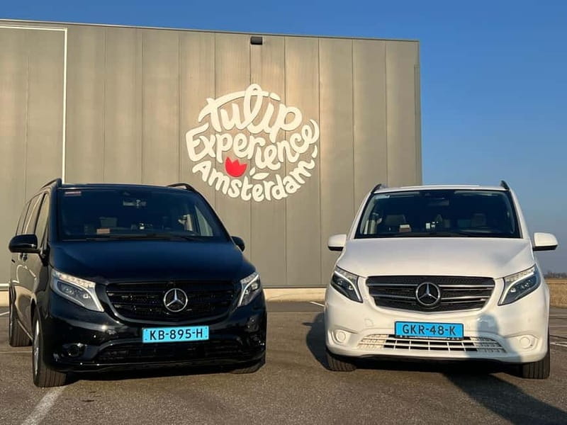 Cruise Terminal Rotterdam: Private Tour by Luxury Van - The Logistics of a Private Tour: What Matters?