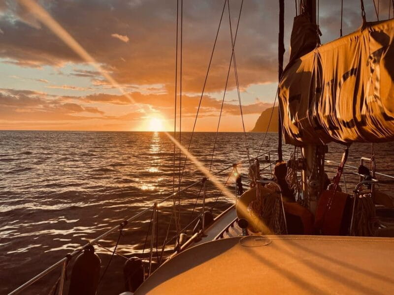 Cruise Trips - The Value of the Experience