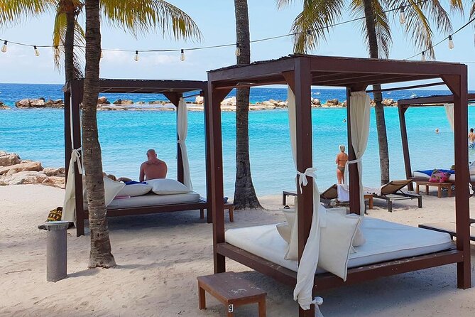 Cruiseport/Beach Transfer: Fun Way to Spend a Day in Curacao - Review Highlights and Feedback