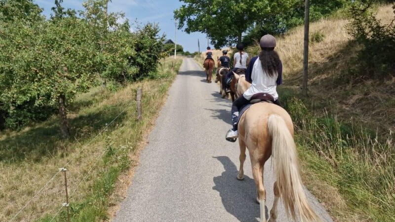 Cruseilles: Horseback Riding in the Countryside - Key points / Takeaways