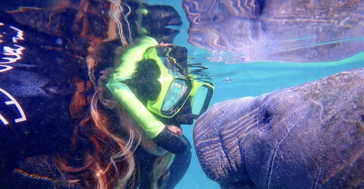 Crystal River: Manatee Swim Group Tour - Itinerary Details