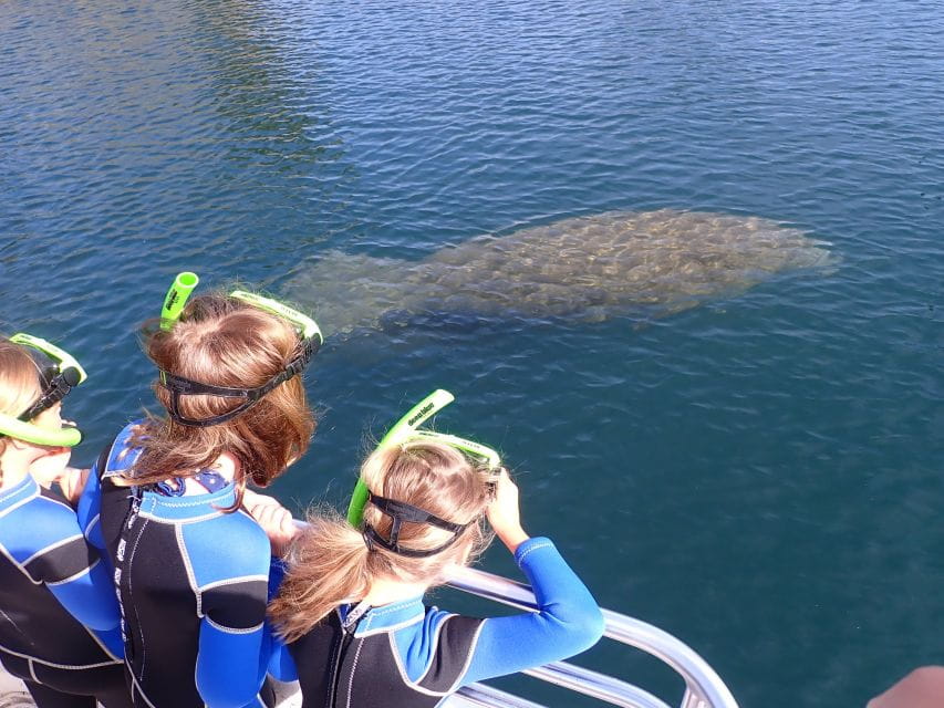 Crystal River: Manatee Swim Group Tour - Customer Feedback