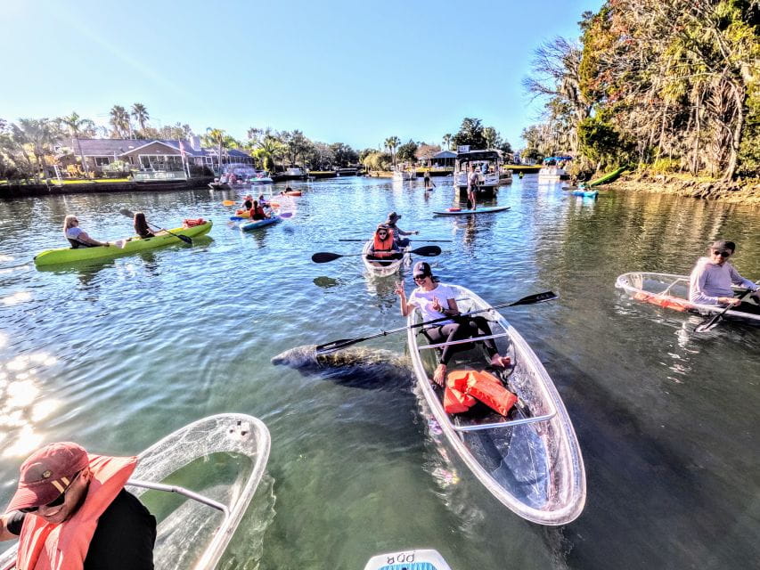 Crystal River: Springs and Manatees Clear Kayak Tour - Paddle Through Crystal Clear Waters