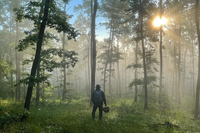 Culinary Adventure To The Fungi And Botanical Kingdom Of Bulgaria - A Detailed Look at the Bulgaria Fungi and Botanical Tour