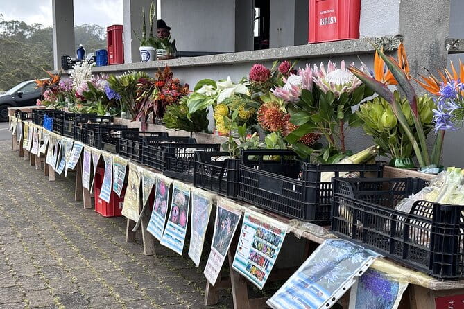 Culinary "Food & (E) Bike" Tour - Key points / Takeaways