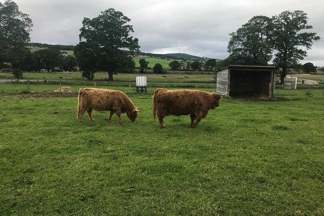 Culloden Battlefield, Clava Cairns and Loch Ness, Urquhart Castle - Price and Value