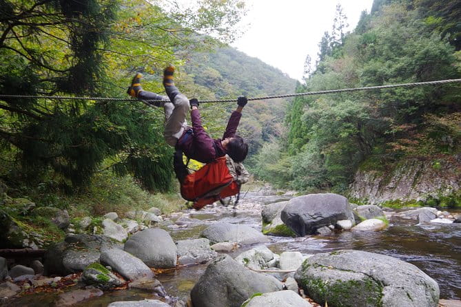 Cultivate Organic WASABI - Understanding Keiryū Wasabi Farming