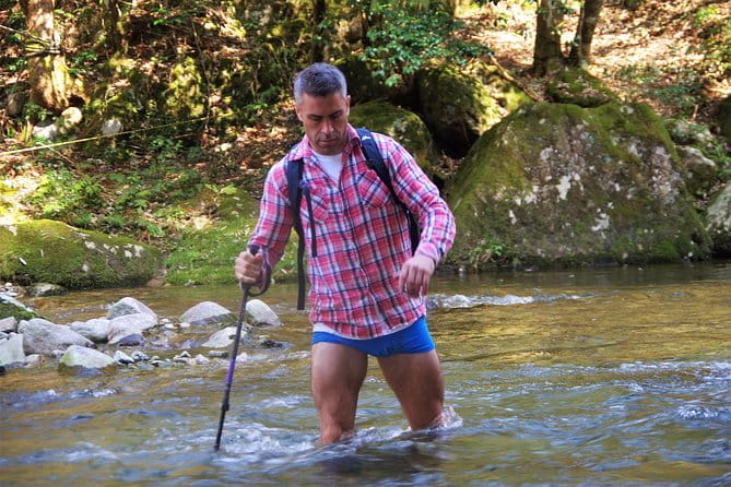 Cultivate Organic WASABI - Immersive Culinary Experience