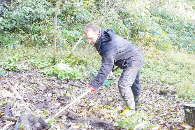 Cultivate Organic WASABI - Necessary Gear and Preparation