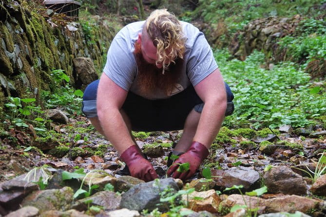 Cultivate Organic WASABI - Meeting Point and Logistics