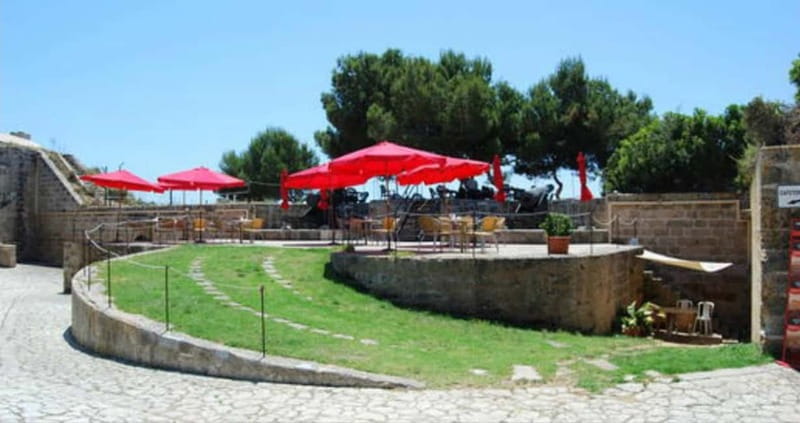 Cultural & gastronomic package: San Carlos Museum + Pa amb oli & Sangria - Discovering Mallorca’s Heritage at San Carlos Museum