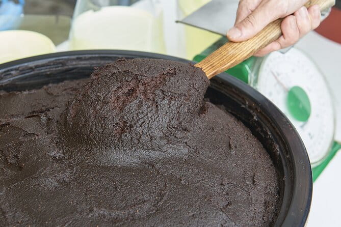 Cultural Odyssey in Okazaki Day Tour - Inclusions