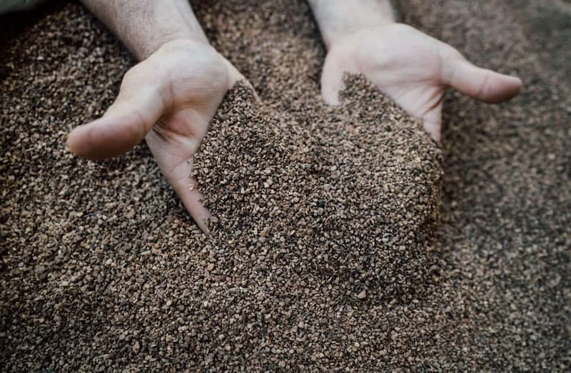 Cured Meat & Olive Oil Tasting & Visit near Pisa & Livorno - Visiting the Olive Mill: A Traditional Tuscan Experience