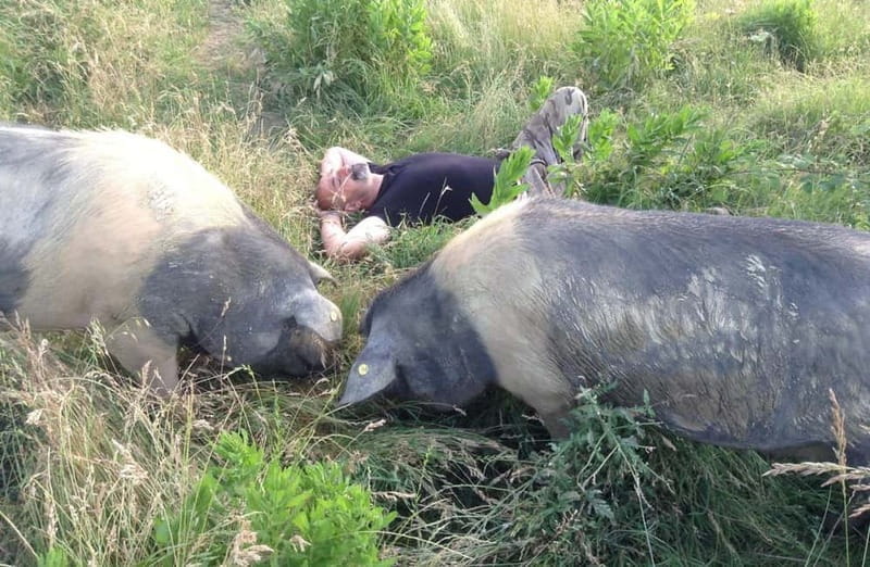 Cured Meat & Olive Oil Tasting & Visit near Pisa & Livorno - Practical Details: What You Need to Know