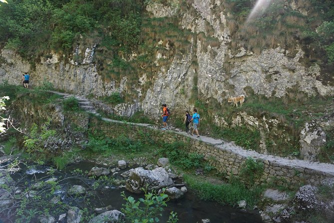 Curly Tour - Day Trip From Cluj :) - Cancellation Policy