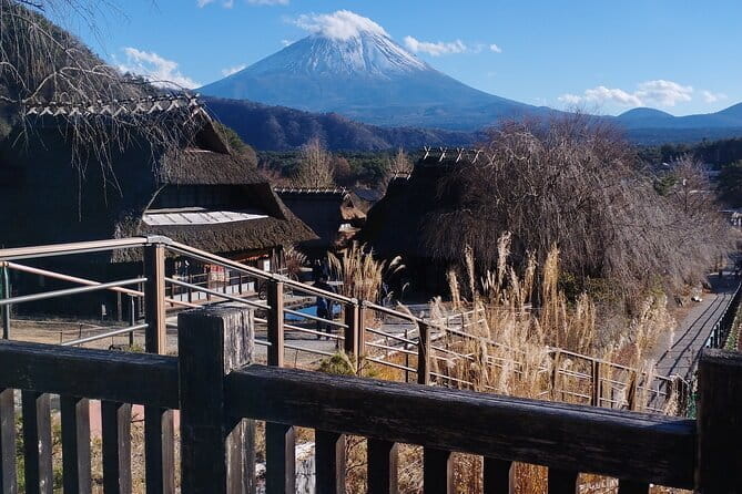Customisable Mt.Fuji Private Day Trip, English Speaking Driver - Key Points