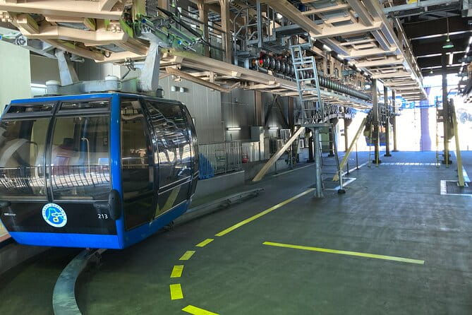 Customizable Hakone-Mt.Fuji Private Day Trip, Eng Speaking Driver - Key Points