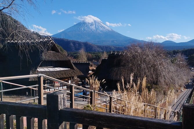 Customizable Hakone-Mt.Fuji Private Day Trip, Eng Speaking Driver - Customer Reviews and Feedback