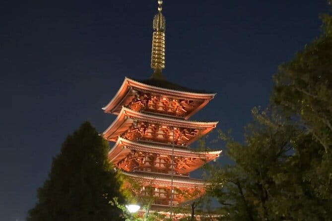 Customizable Private Tokyo Trip With an English Speaking Driver - Experience Highlights