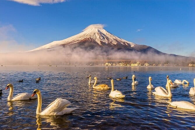 Customizable Private Tour in Mt. Fuji With Private Driver - Inclusions