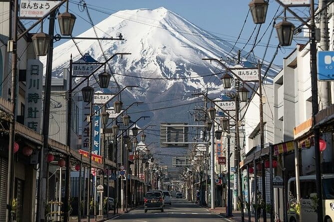 Customizable Private Tour in Mt. Fuji With Private Driver - Accessibility