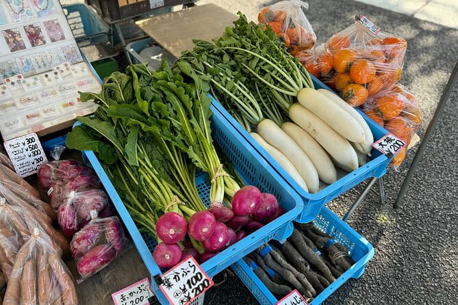 Customizable Takayama Private Half-Day Walking Tour - Pricing and Cancellation