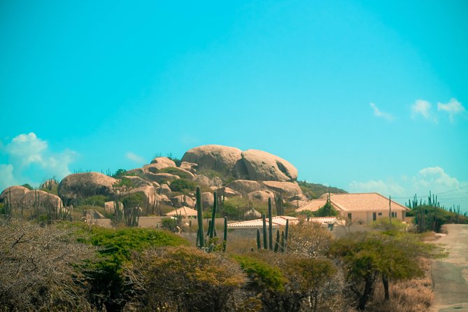 Customized Aruba Island Private Tour for All Ages - Transportation and Accessibility