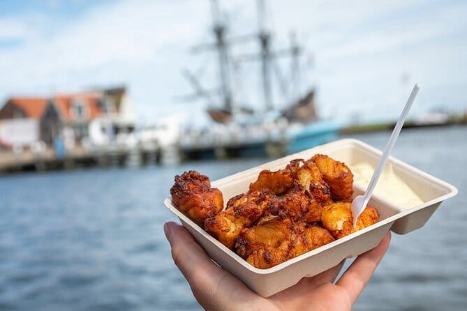 Customized Private Tour in Tesla to Zaandam, Windmills & Volendam - Key Points / Takeaways