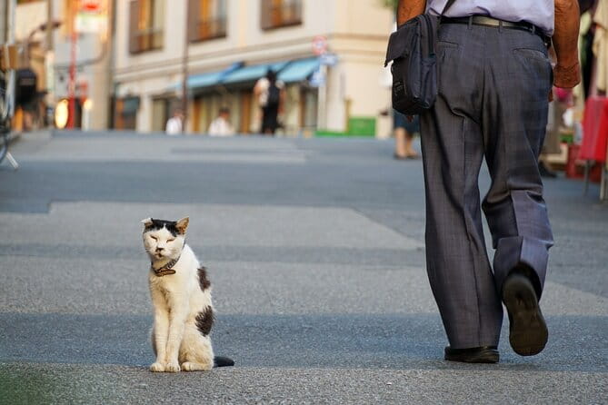 Customized Private Walking Tour of YANAKA in Tokyo Nostalgia - The Route of Nostalgia