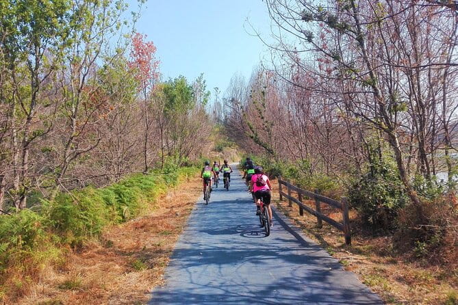 Cycling Ecopista do Dão One Way, full-day from Coimbra - Why Youll Love the Guides & the Views