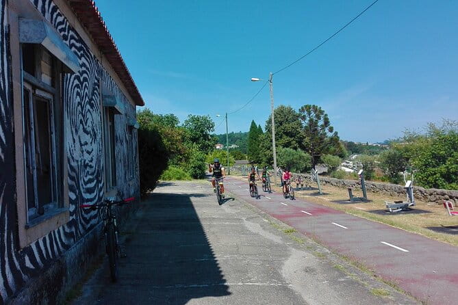 Cycling Ecopista do Dão One Way, full-day from Coimbra - Final Verdict: A Solid Choice for Active, Scenic Days in Portugal