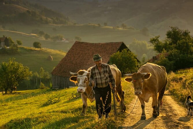 Cycling in Transylvania - Key Points / Takeaways
