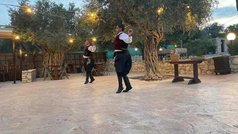 Cypriot Traditions and Donkey Adventures - Exploring the Farm and Meeting the Animals