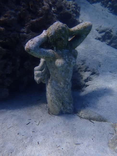 Cyprus: Introductory Scuba Lesson and Dive with Transfer - Price and Logistics: Getting the Most for Your Money