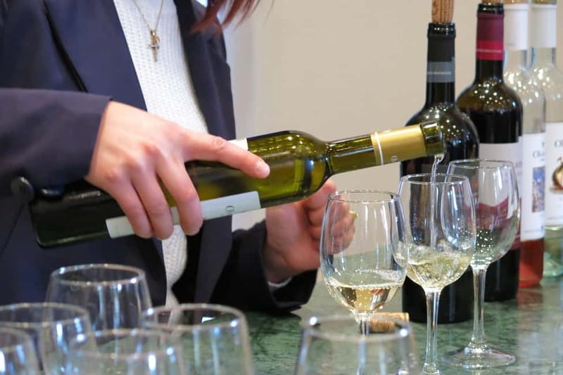 Cyprus: Troodos Mountains Villages and Wineries Tour - Who Will Love This Tour?