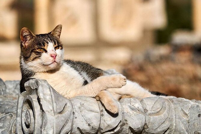 Daily Ephesus & Virgin Mary House Tour From Izmir - Meeting and Pickup