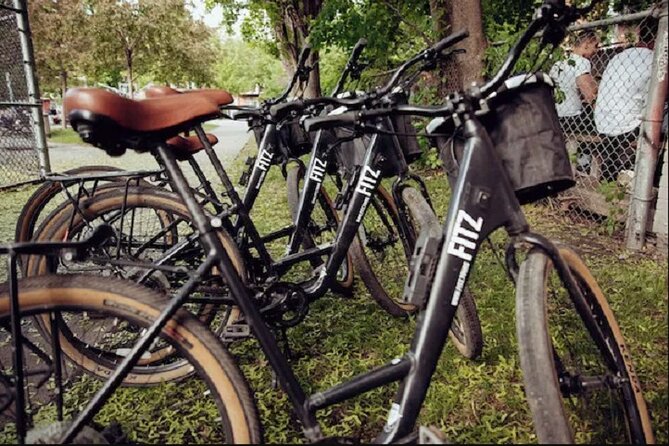 Daily Montreal Bike Rental- Be Your Own Guide in Montreal - Key Points