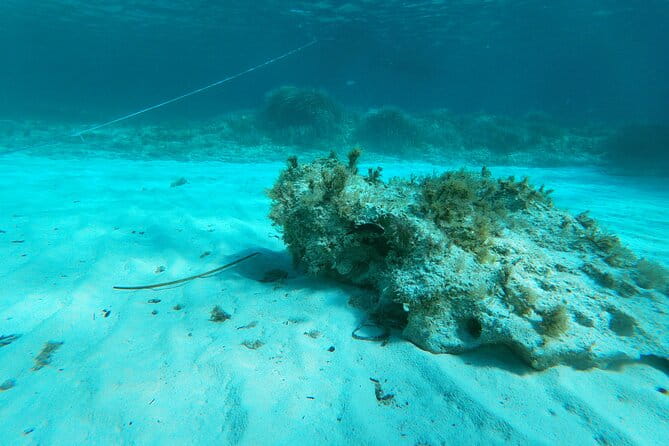 Daily tour in dinghy Favignana and Levanzo - FAQs