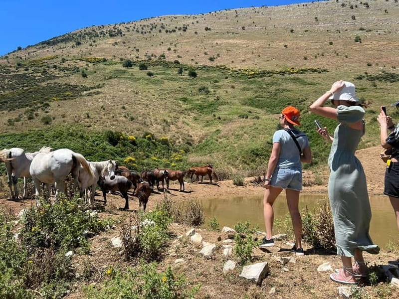 Daily Trip To:Blue Eye,Monastery,Gjirokaster&Lekursi Castle - Key points / Takeaways