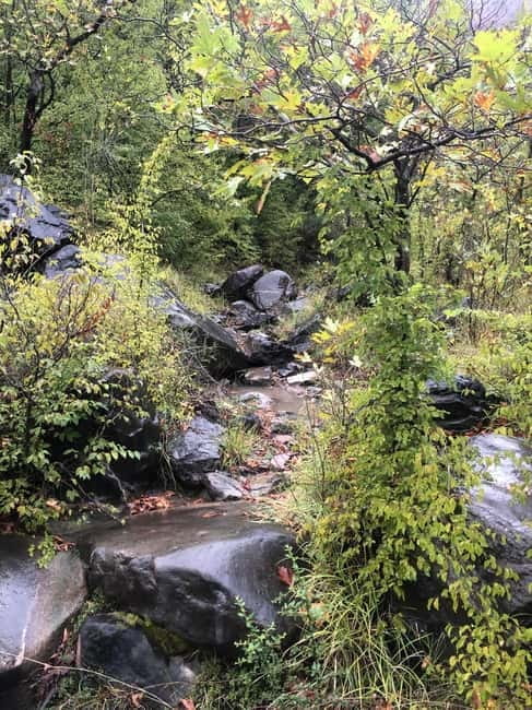 Dajti Cable Car and Shengjergj Waterfall Tour with Lunch - Discover Tirana’s Natural Highlights with a Personal Touch