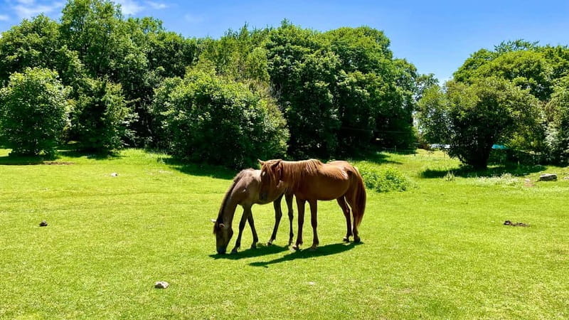 Dajti Mountain & Shengjergj Waterfall Day Trip on Land Rover - Exploring Albania’s Natural Gems by Land Rover