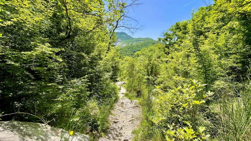 Dajti Mountain & Shengjergj Waterfall Day Trip on Land Rover - FAQ