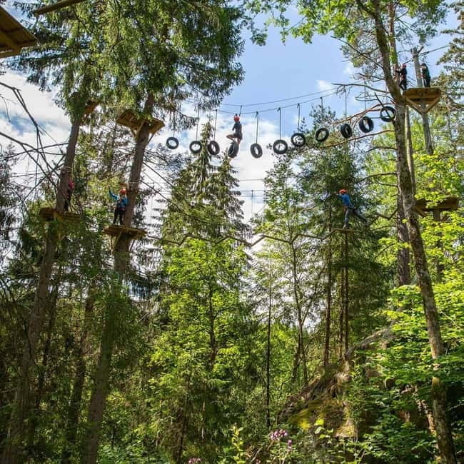 Dals Långed: High Ropes Adventure for Adults and Kids - Key Points / Takeaways