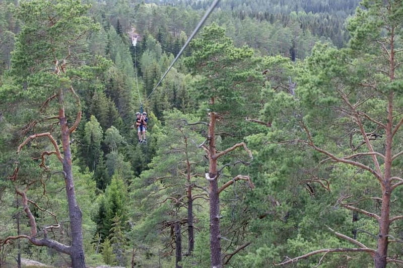 Dals Långed: Zipline Adventure at Steneby Gård - Key Points / Takeaways