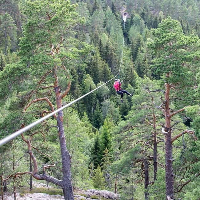 Dals Långed: Zipline Adventure at Steneby Gård - The Sum Up