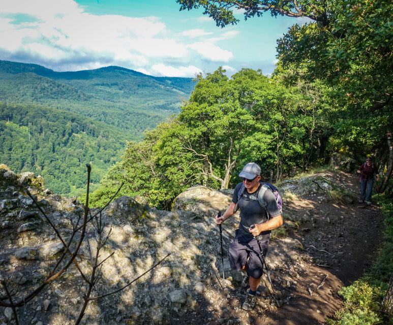 Danube Bend: Full-Day Hiking Tour from Budapest - Starting Point: From Budapest to Dömös